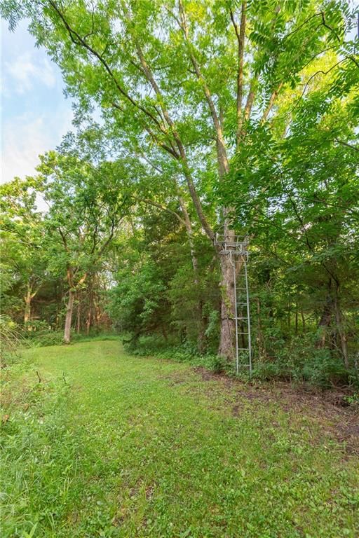 2354 NW County Rd 1502 (tract 2) Road — photo 27
