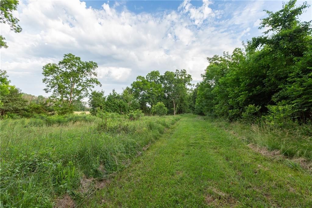2354 NW County Rd 1502 (tract 2) Road — photo 33