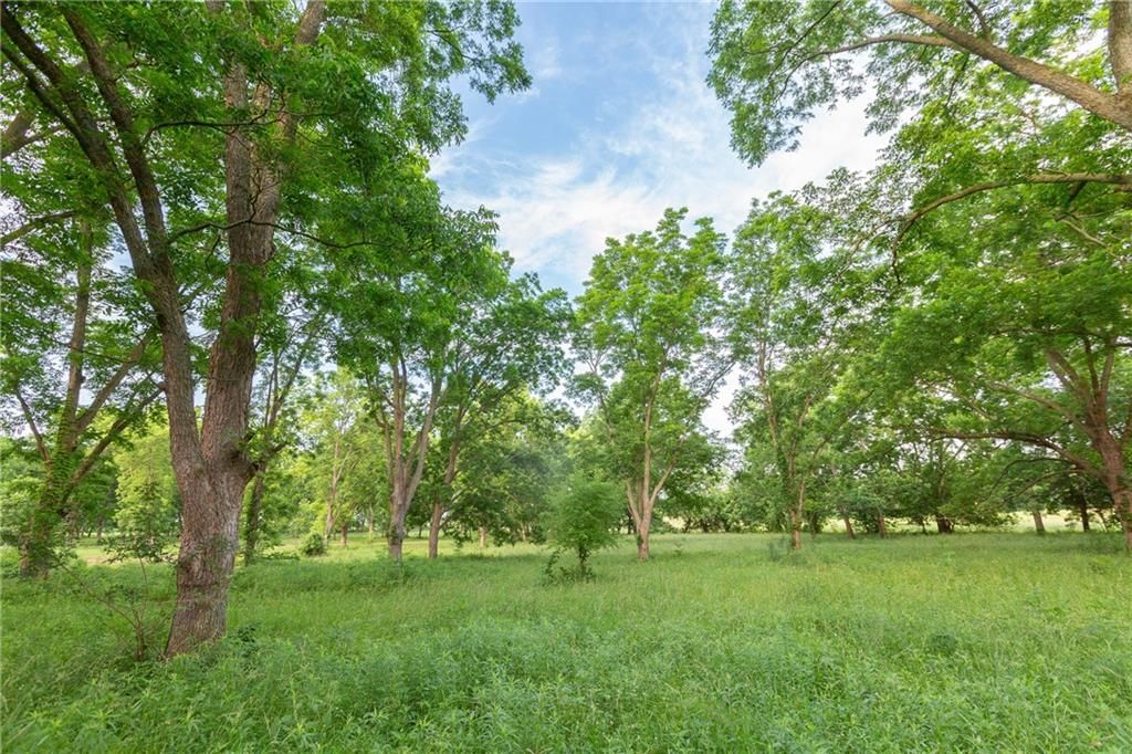 2354 NW County Rd 1502 (tract 2) Road — photo 36