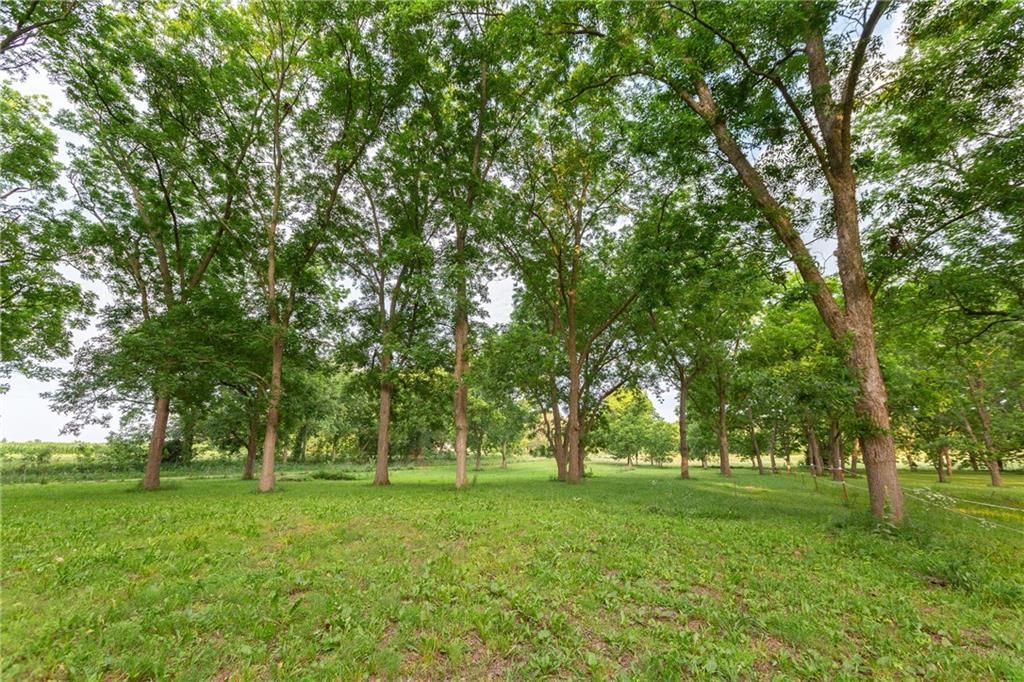 2354 NW County Rd 1502 (tract 2) Road — photo 37