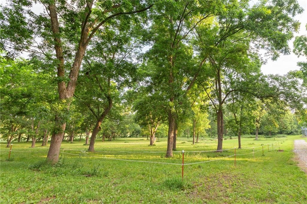 2354 NW County Rd 1502 (tract 2) Road — photo 38
