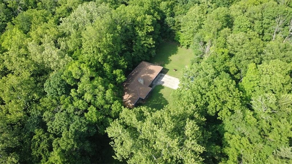 18375 Old Highway Road — photo 35