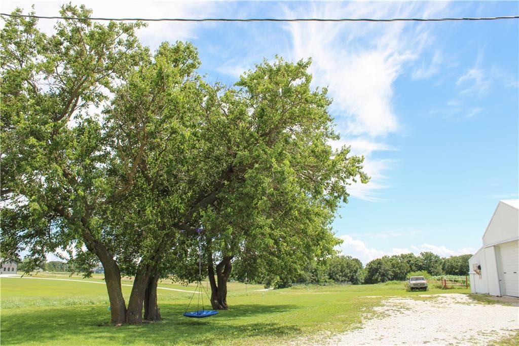 2239 County road 1390 Road — photo 5