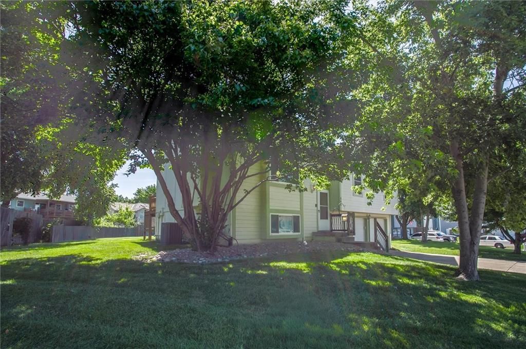 305 Pinetree Drive — photo 3