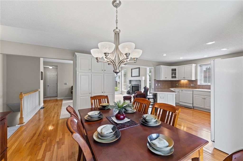 523 Cedar Falls Court — photo 10