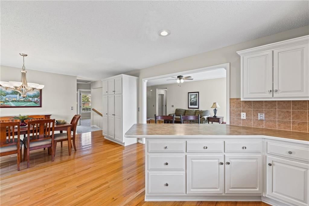 523 Cedar Falls Court — photo 14