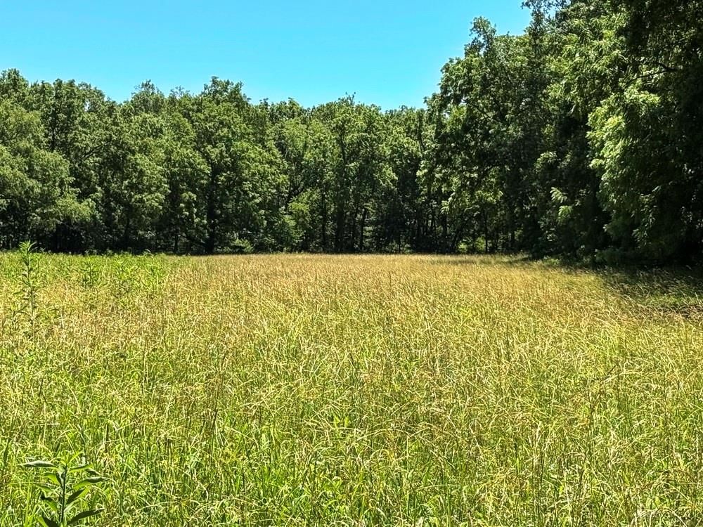 TBD S 363 Road — photo 22