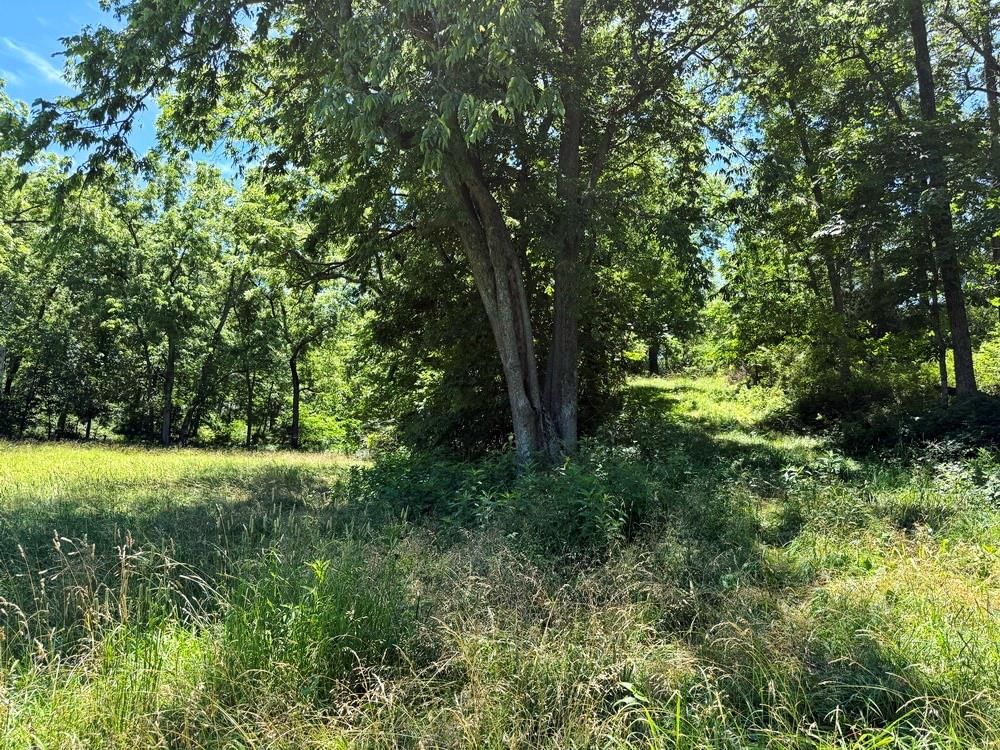 TBD S 363 Road — photo 31