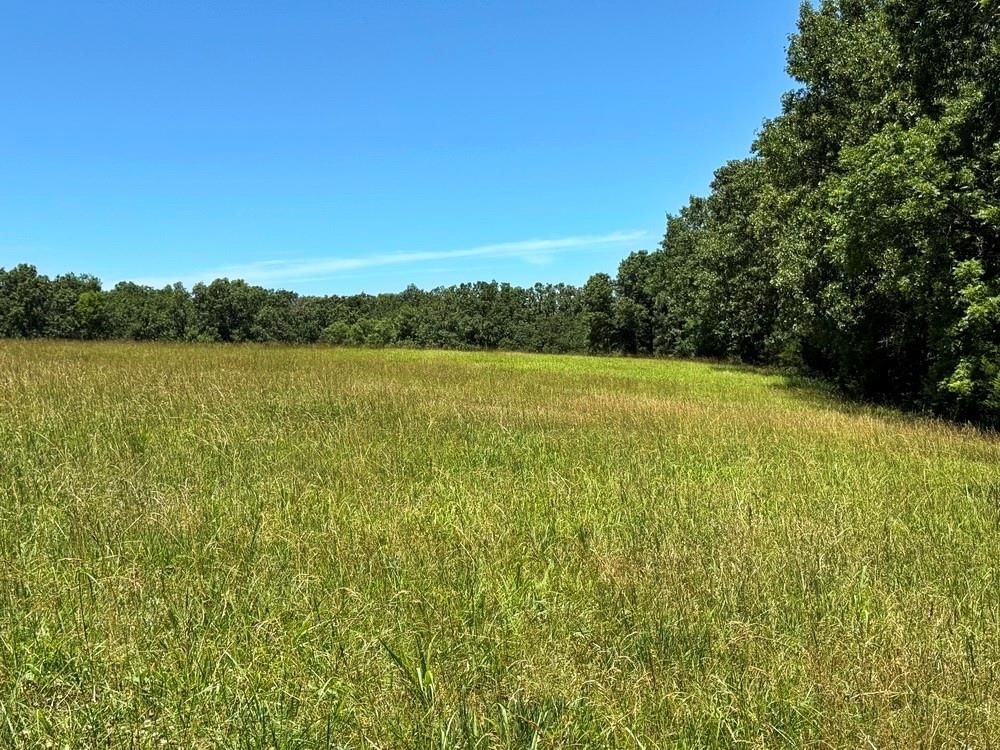 TBD S 363 Road — photo 32