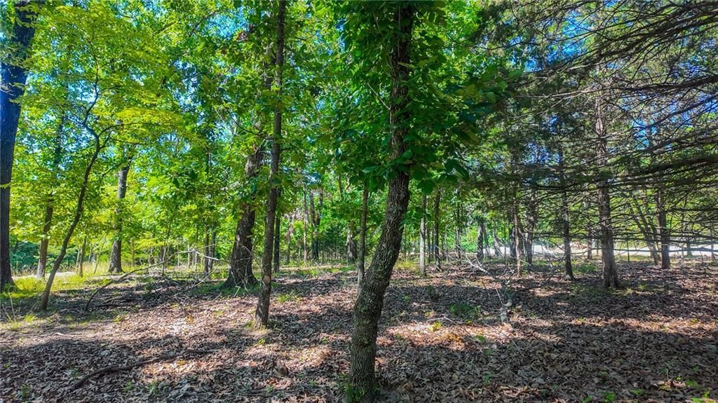 Lot #1345 Champion Drive — photo 5