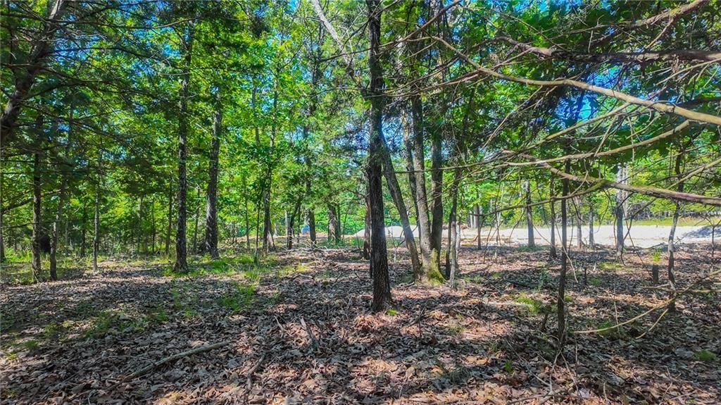 Lot #1345 Champion Drive — photo 6