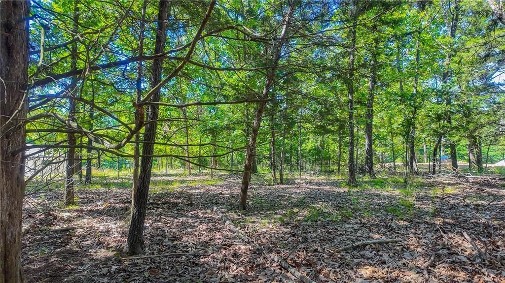 Lot #1345 Champion Drive — photo 7