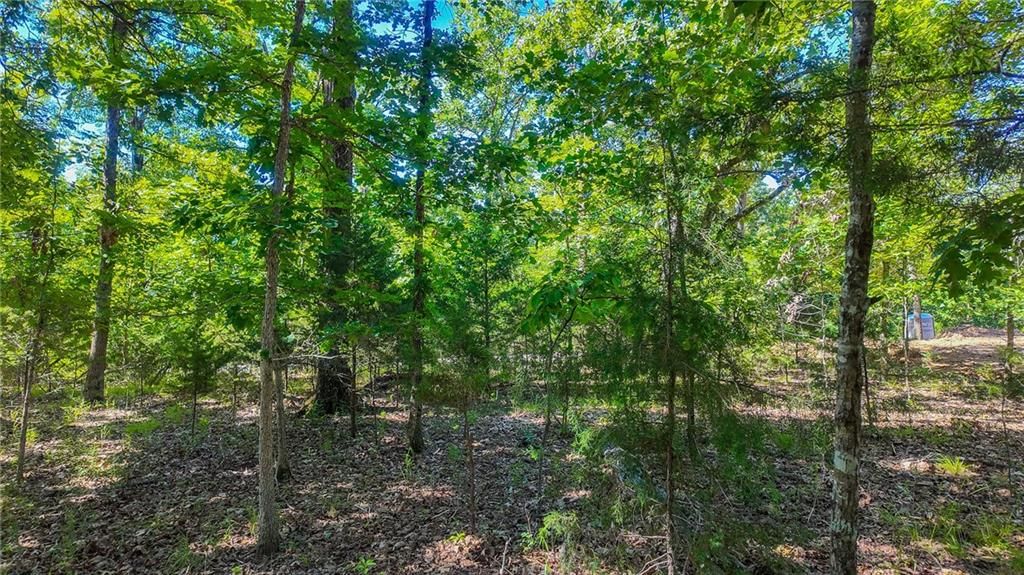 Lot #1345 Champion Drive — photo 9