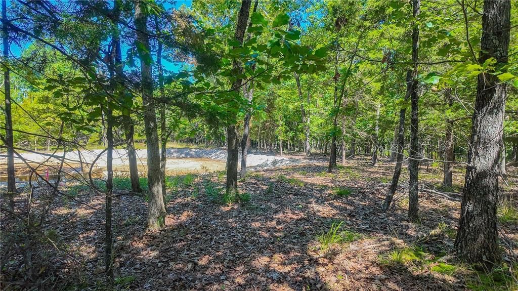 Lot #1345 Champion Drive — photo 12