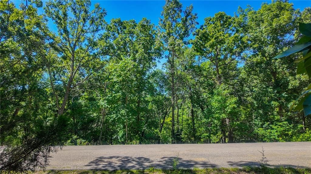Lot #1345 Champion Drive — photo 14