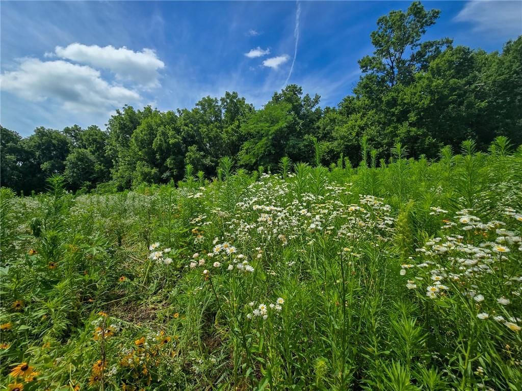 2087 S 1600 Road — photo 14