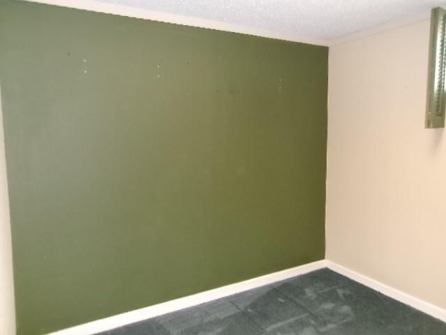 504 Alfalfa Lane — photo 11