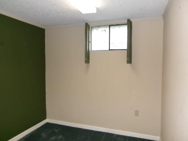 504 Alfalfa Lane — photo 12