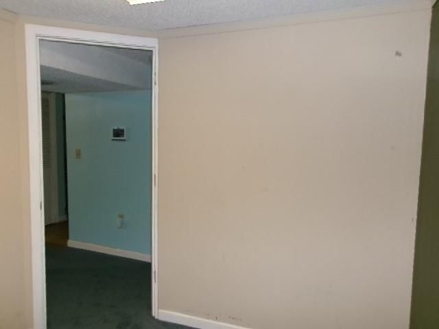 504 Alfalfa Lane — photo 13
