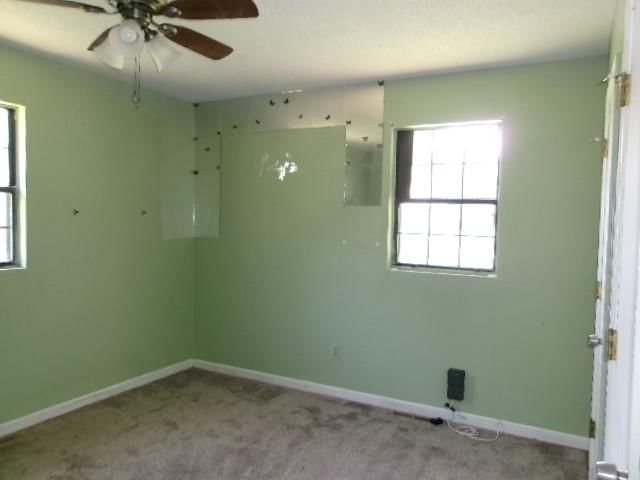 504 Alfalfa Lane — photo 14