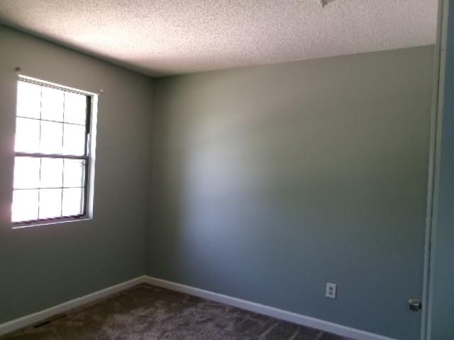 504 Alfalfa Lane — photo 18