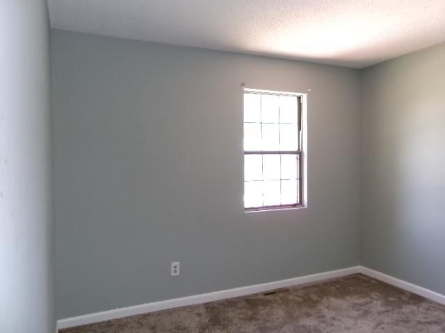 504 Alfalfa Lane — photo 19