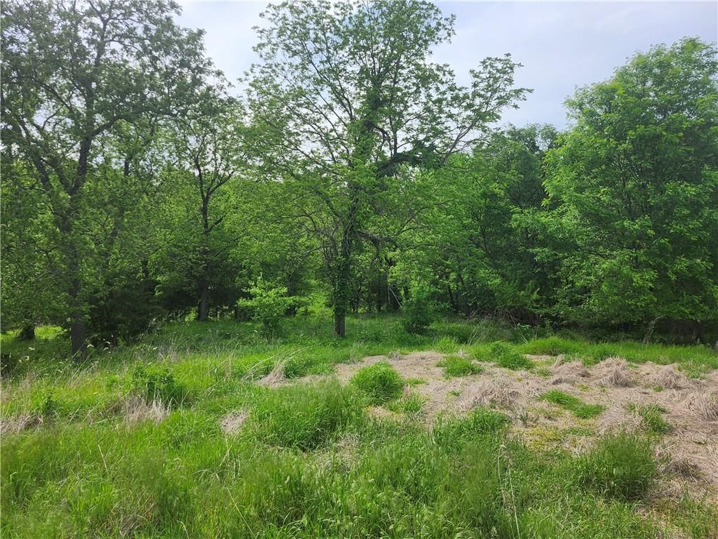 38210 Osawatomie Road — photo 55