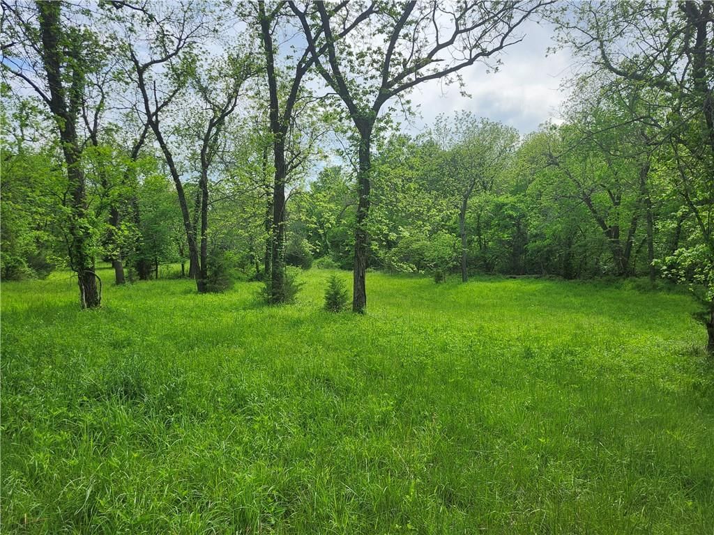 38210 Osawatomie Road — photo 59