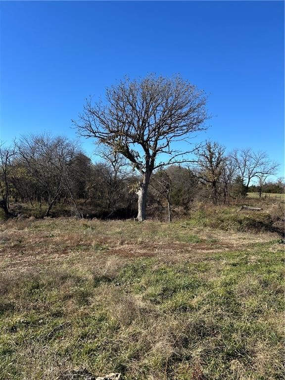 1350 US 59 Highway — photo 3