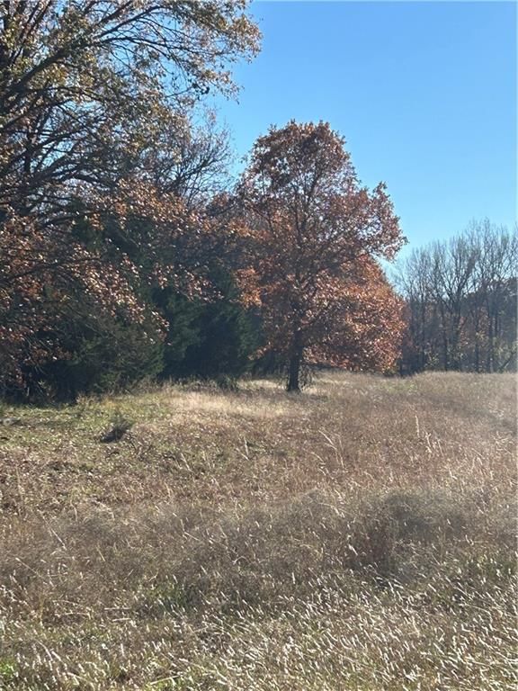 1350 US 59 Highway — photo 11