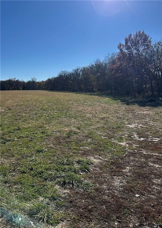 1350 US 59 Highway — photo 12