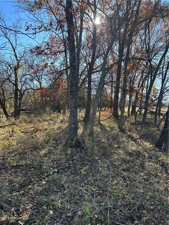 1350 US 59 Highway — photo 13