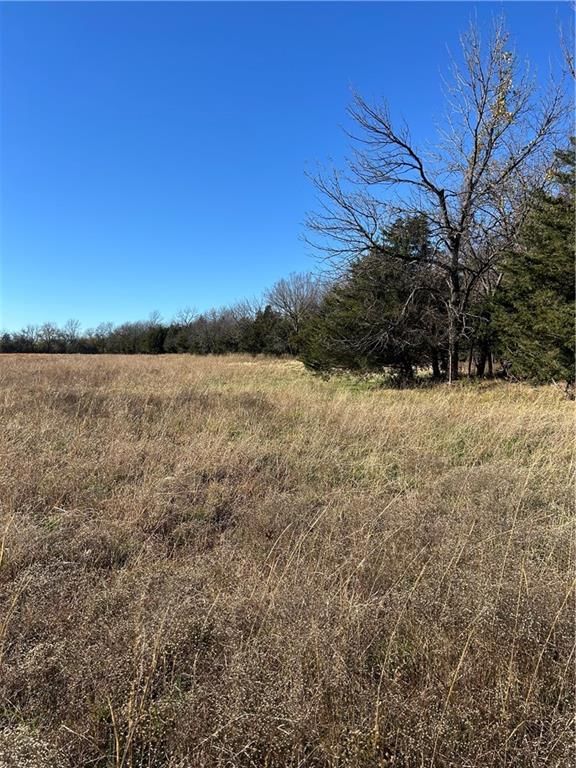 1350 US 59 Highway — photo 14