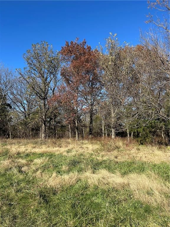 1350 US 59 Highway — photo 15