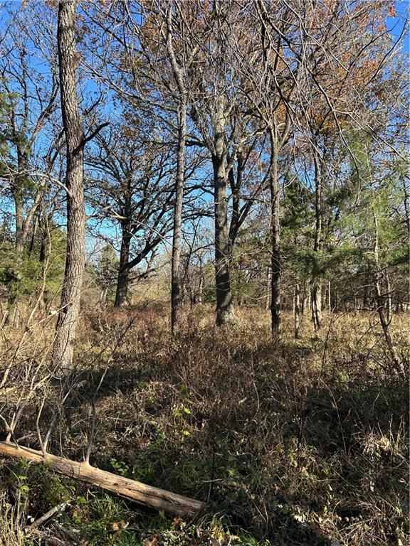 1350 US 59 Highway — photo 16