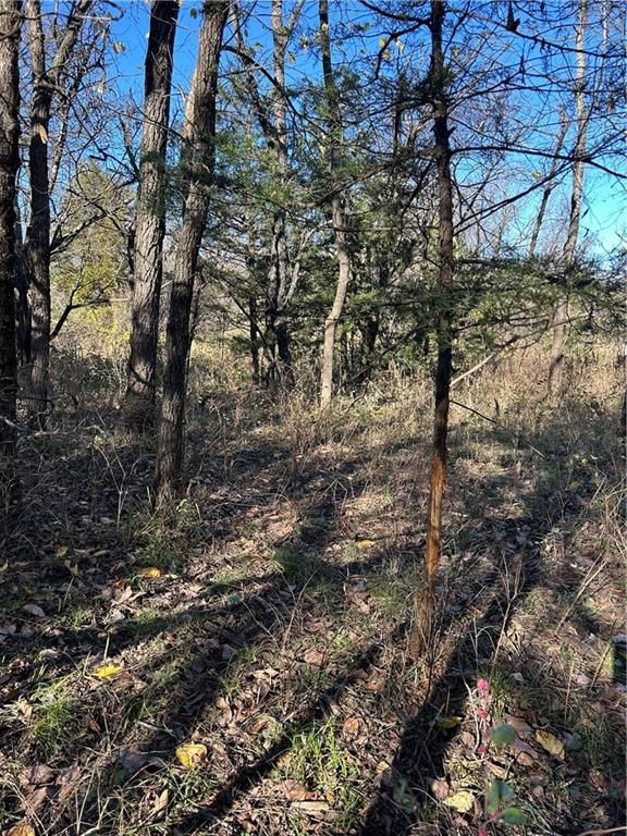 1350 US 59 Highway — photo 20