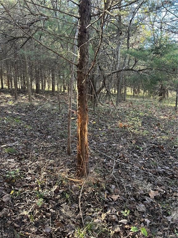 1350 US 59 Highway — photo 21