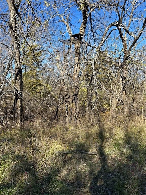 1350 US 59 Highway — photo 24
