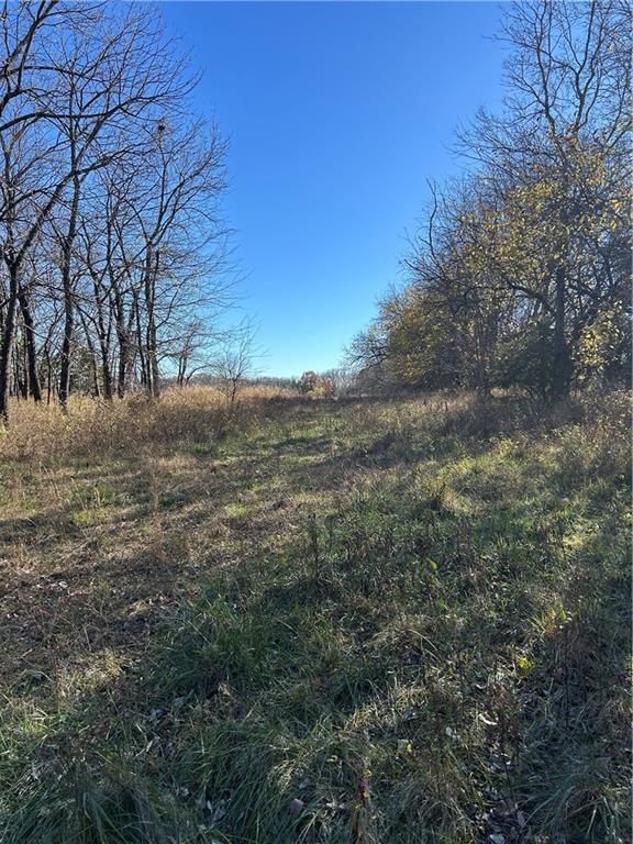 1350 US 59 Highway — photo 25