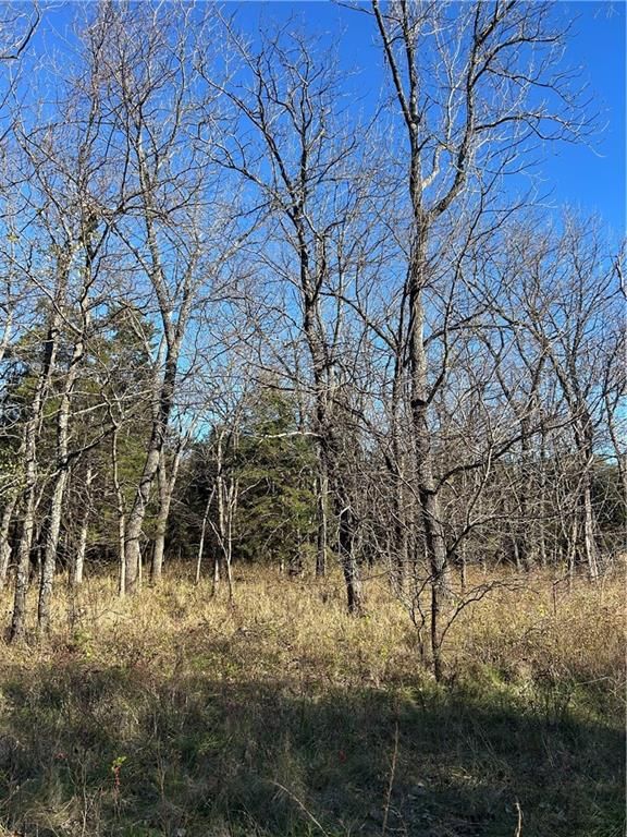 1350 US 59 Highway — photo 26