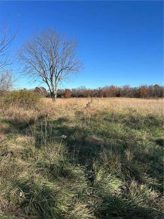 1350 US 59 Highway — photo 30