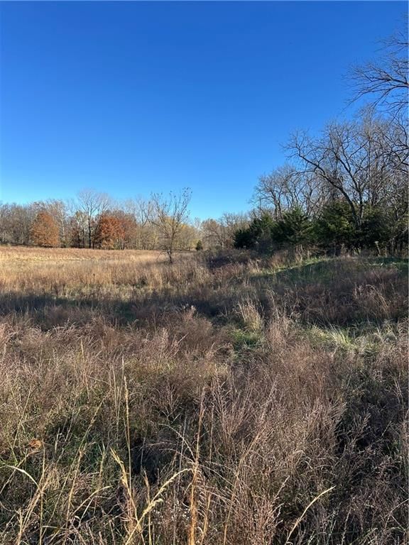1350 US 59 Highway — photo 33