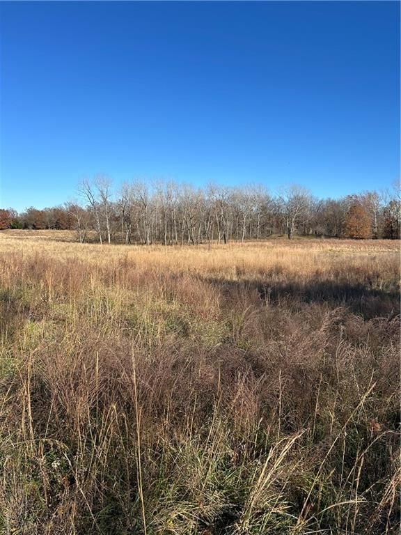 1350 US 59 Highway — photo 34