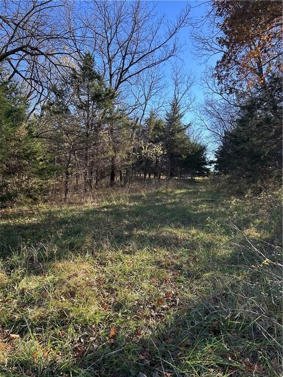 1350 US 59 Highway — photo 35