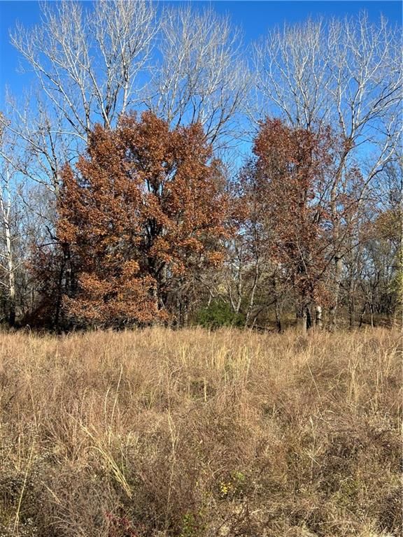 1350 US 59 Highway — photo 38