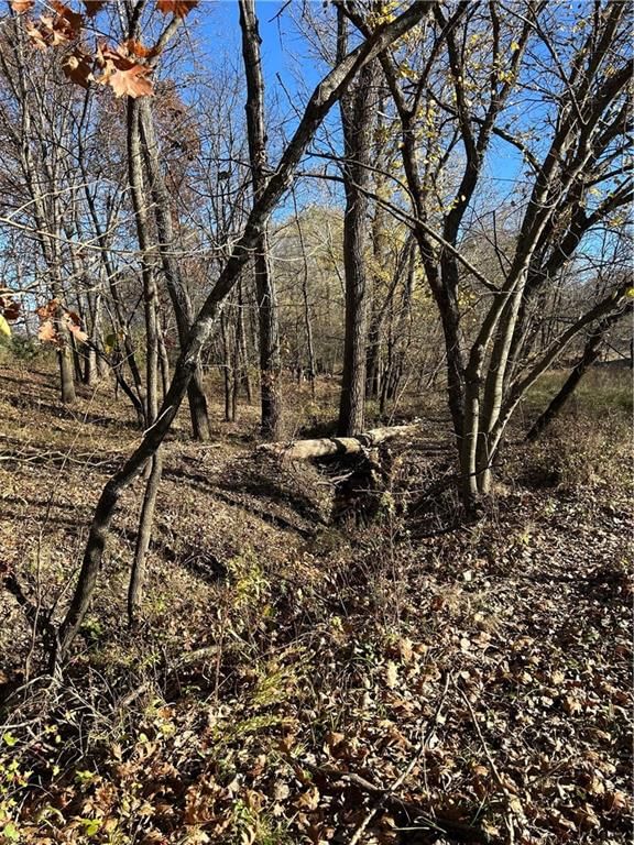 1350 US 59 Highway — photo 40
