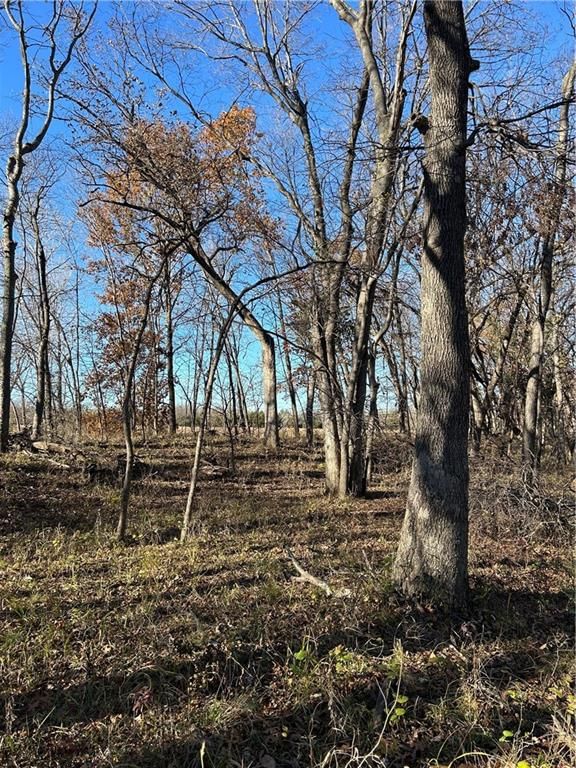1350 US 59 Highway — photo 47