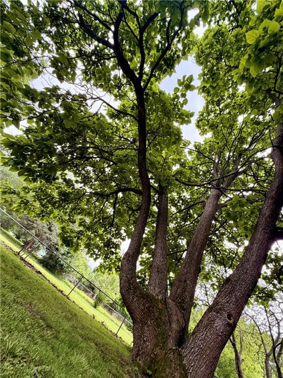 192 SE 421 Road — photo 22