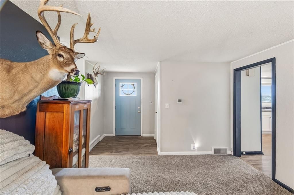 5 Sunset Lane — photo 11