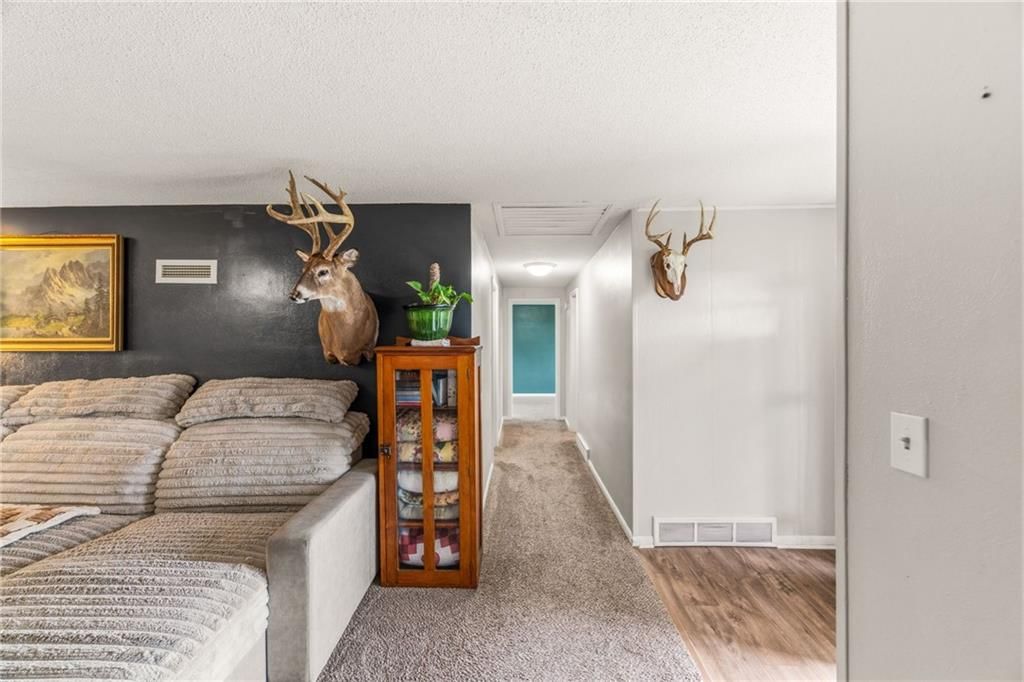 5 Sunset Lane — photo 12